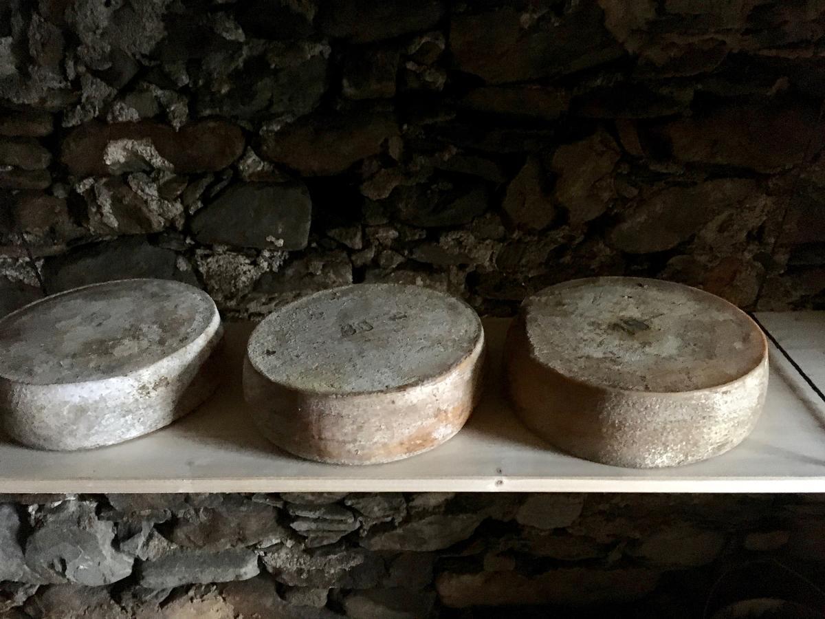 Cadenazzo Antica Sosta Dei Viandanti B&B 외부 사진