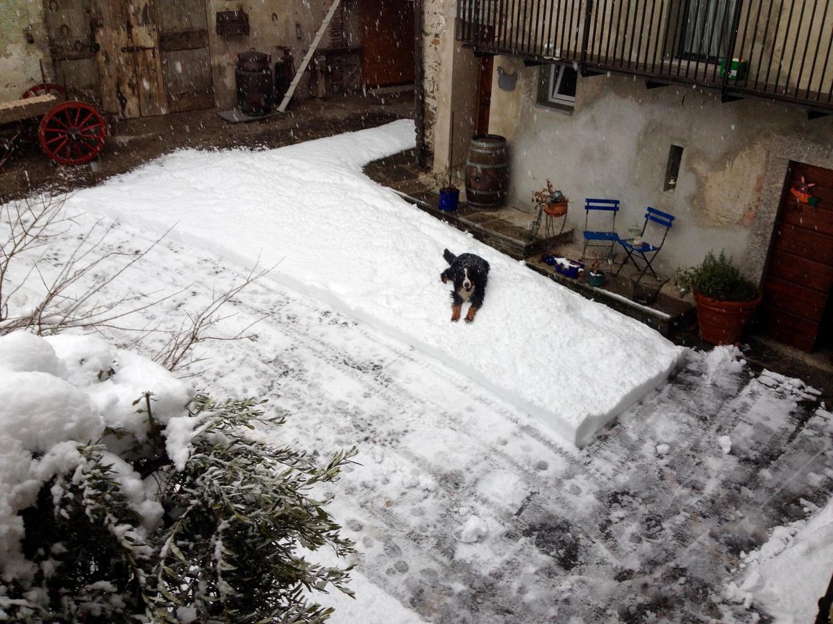 Cadenazzo Antica Sosta Dei Viandanti B&B 외부 사진